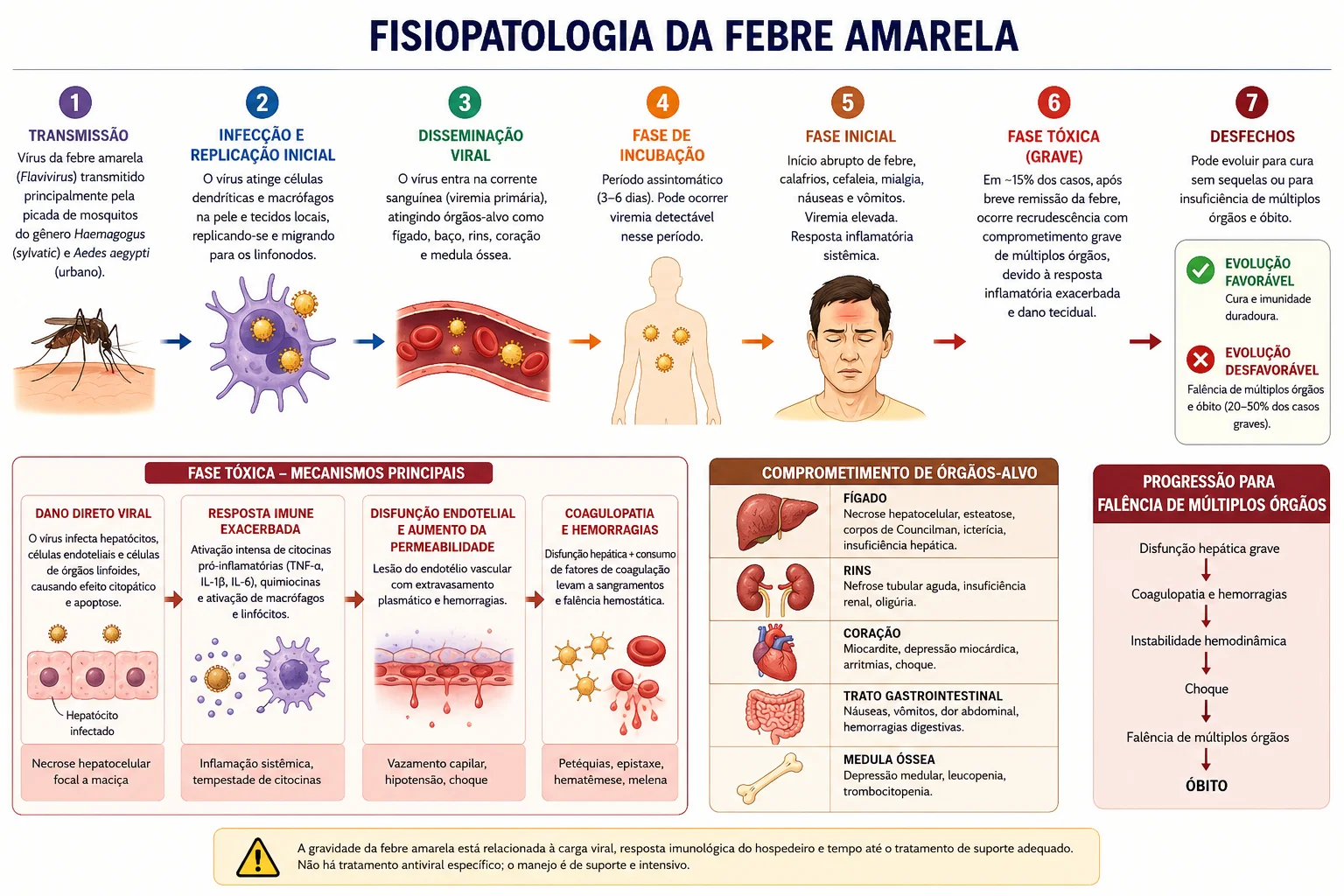 Da picada à falência de múltiplos órgãos
