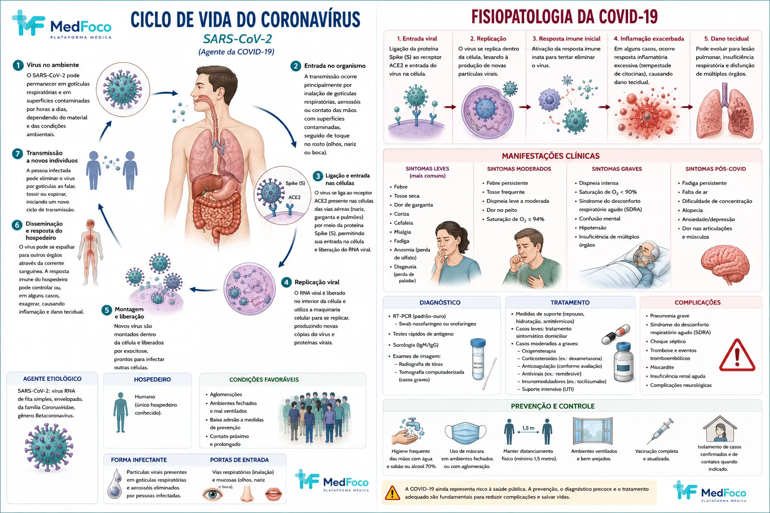 Da mucosa respiratória à doença sistêmica